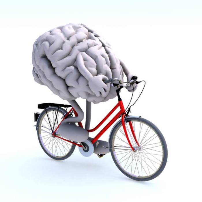 Resultado de imagen para cerebro + deporte