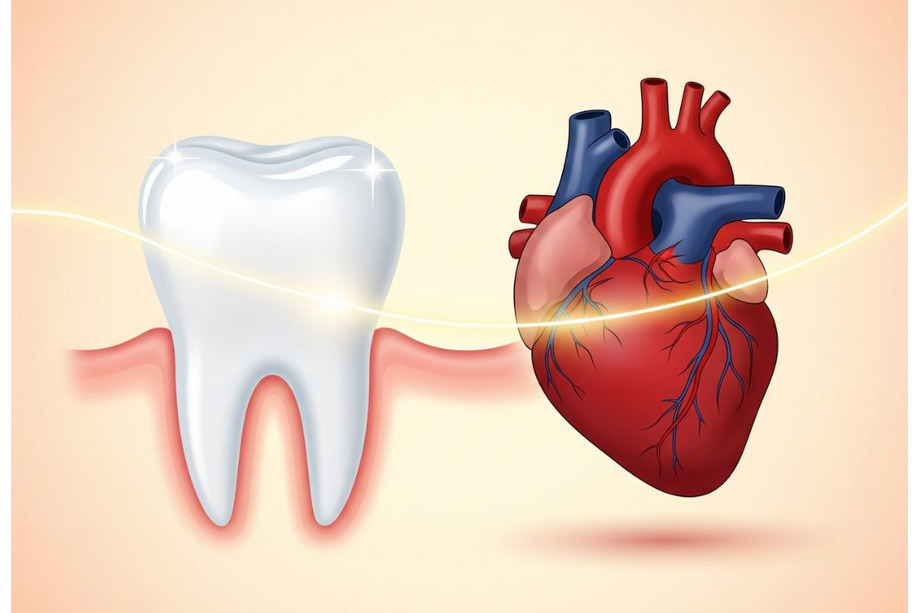 Relación entre la salud dental y el corazón