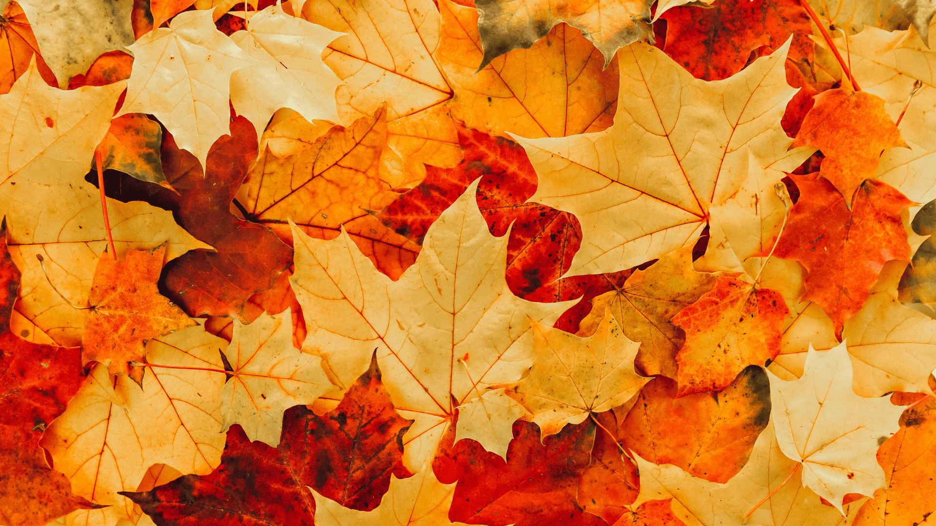 hotel rural en Sierra de Cazorla