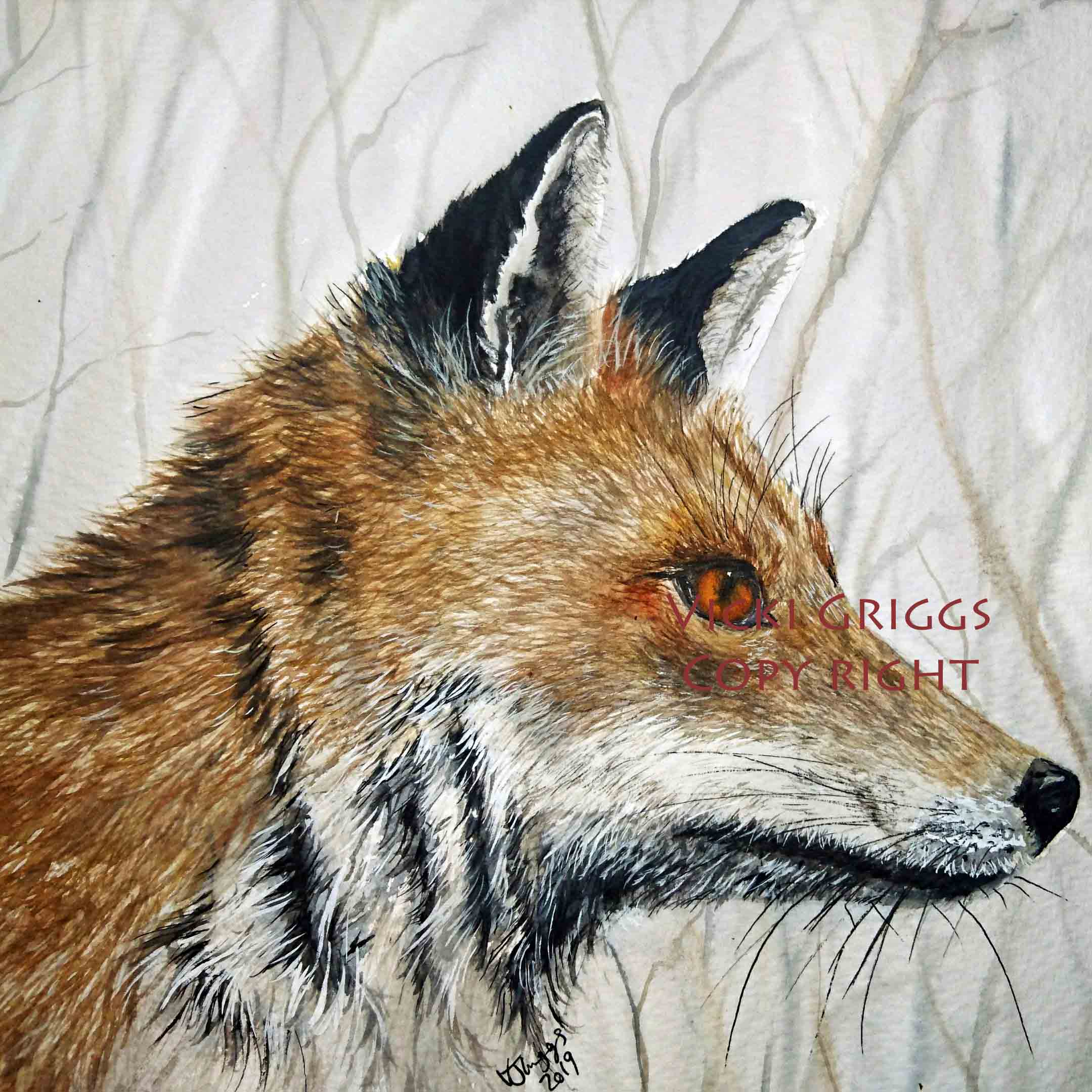 fox 5