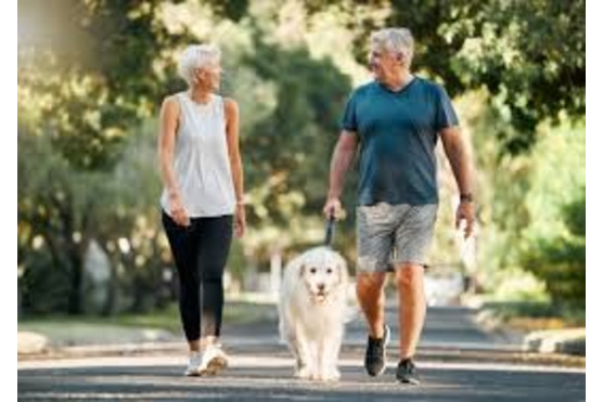 Image of a couple and dog on a walk