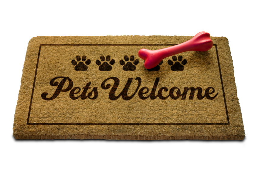 pets welcome