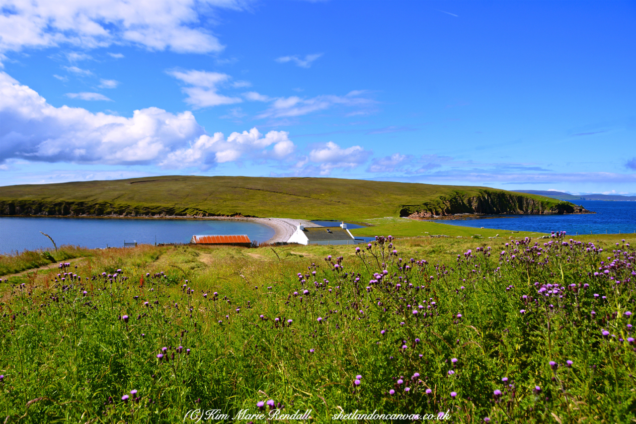 Summer's Day at Ness of Sound, West Yell 