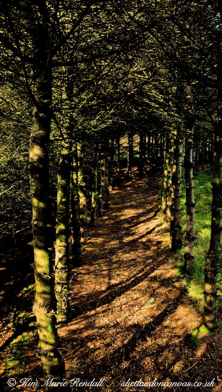 A Path Through the Trees, Da Gairdins o' Sand