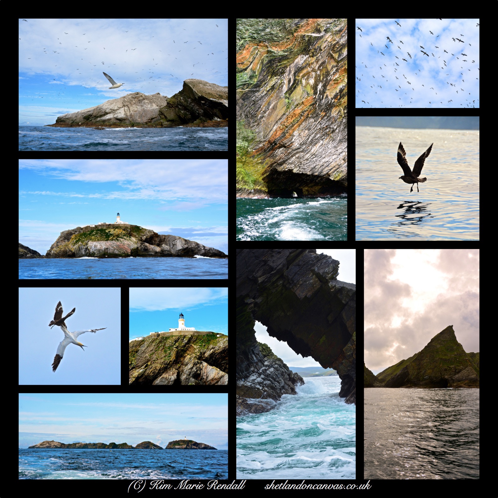 Muckle Flugga Boat Trip Collage