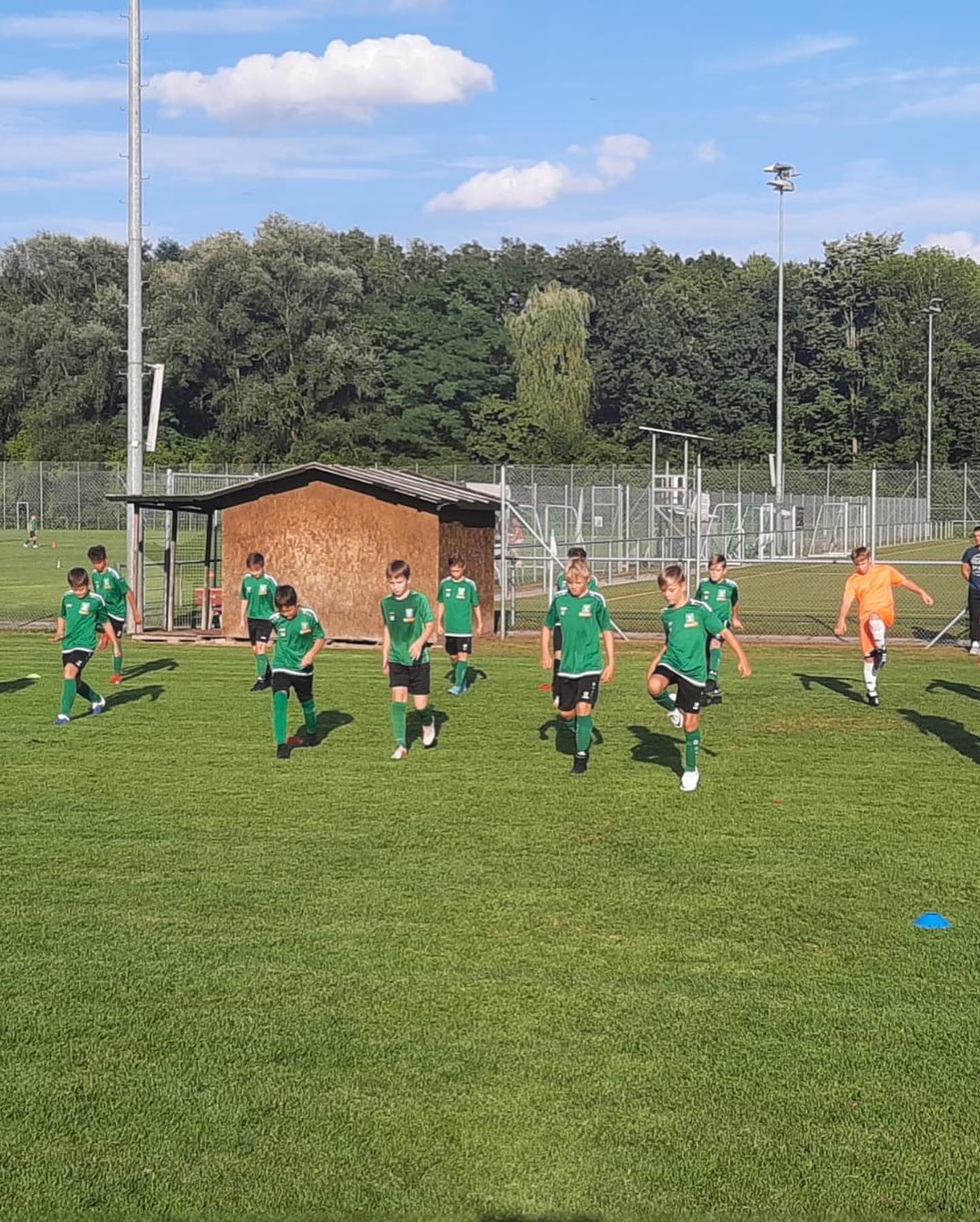 Grün Weiß Deggendorf Grün Weiß Deggendorf