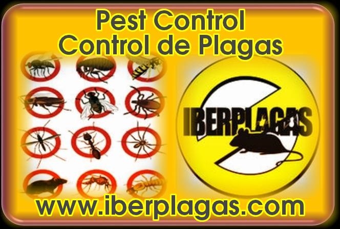 Control de Plagas