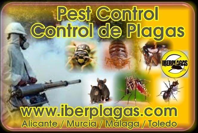 IBERPLAGAS CONTROL DE PLAGAS