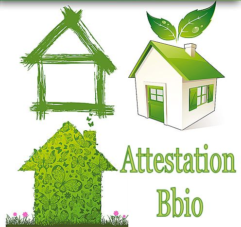 Attestation Bbio