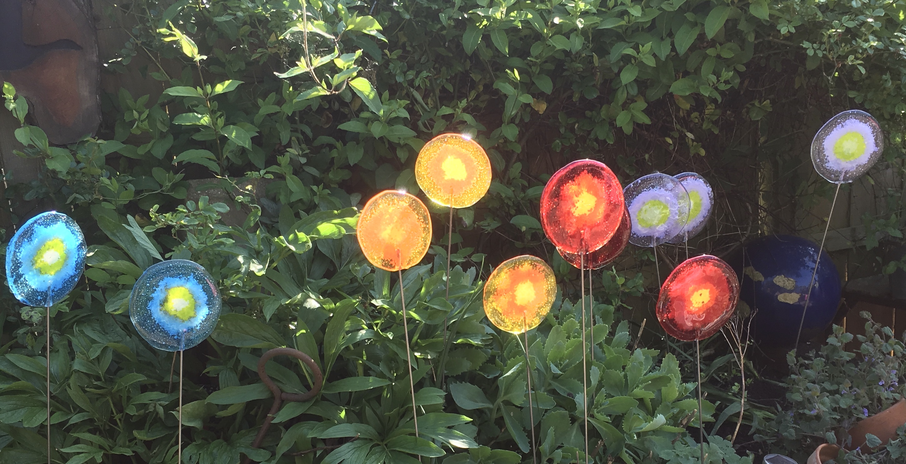 Set of 5 medium lollipops