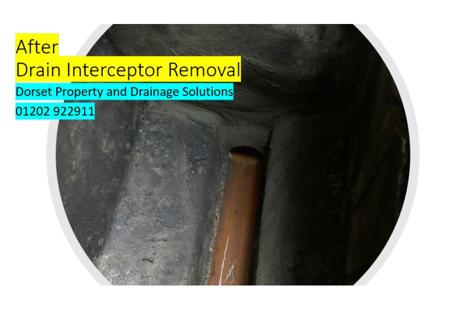 drain interceptor removal