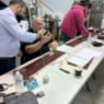 Rug Training Course