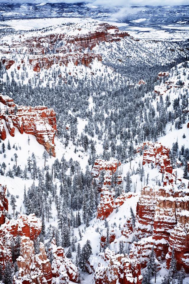 Bryce canyon sous la neige