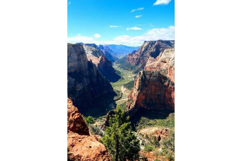 Zion national park utah observation point