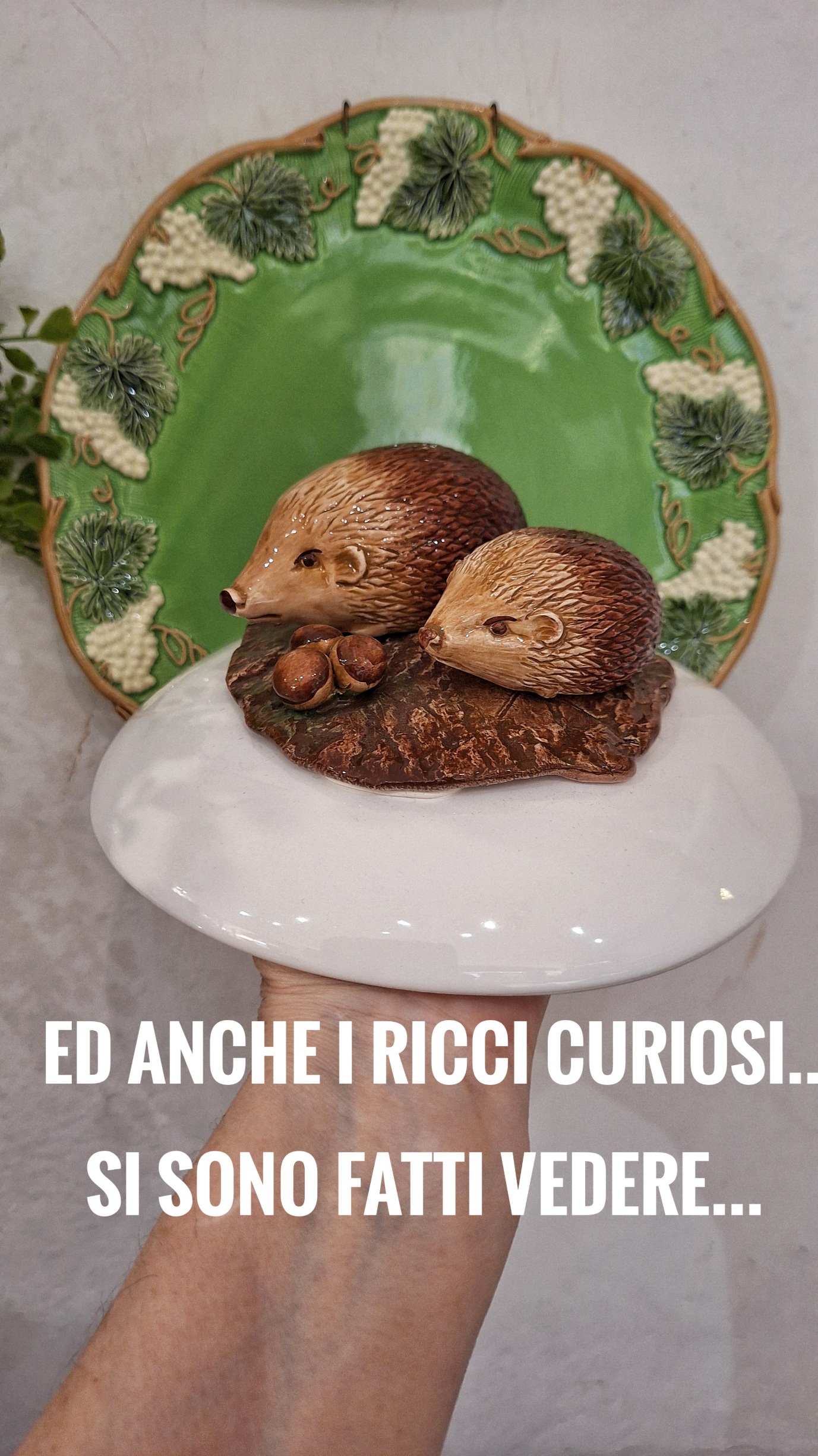 Posto tavola bosco