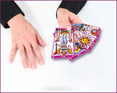 FORFAIT à 90€/60min VOYANCE COMPLÈTE (+3€ Frais de CB Paiement sécurisé)     