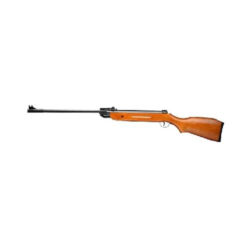 B2 Deluxe .22 Spring Air Rifle