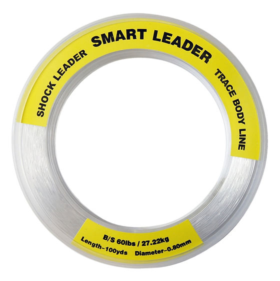 CJT smart leader 