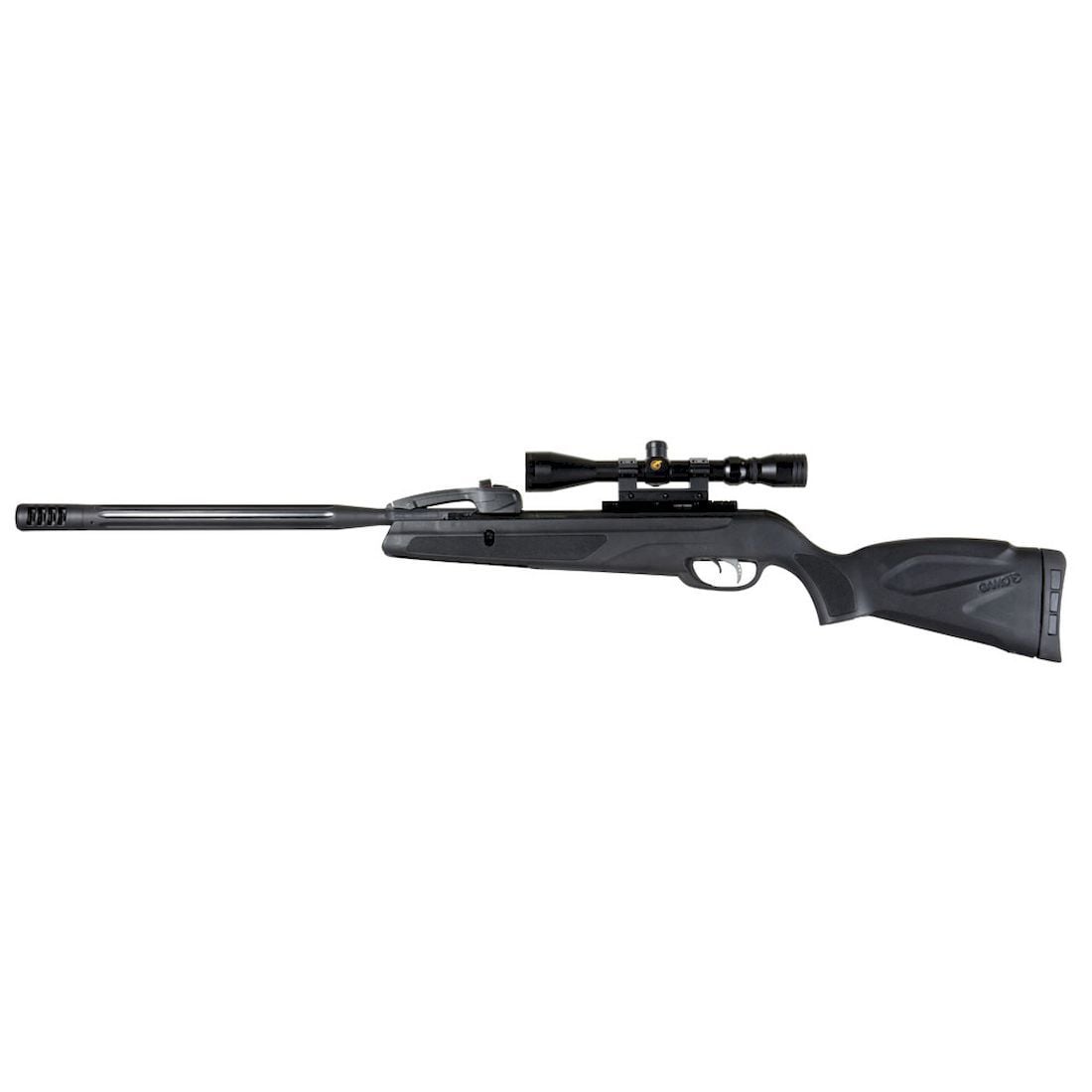 Gamo Maxxim Elite Swarm Multishot - .22 Air Rifle