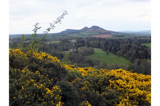 Scott's View Eildon Hills