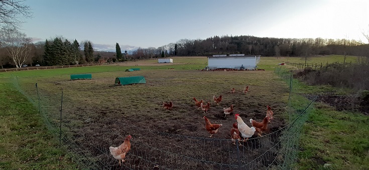 Bauernhof Hühnermobil
