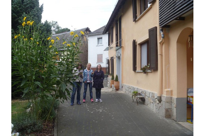 Übungen, Training, Coaching NLP Practitioner 