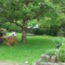Coaching in der Natur