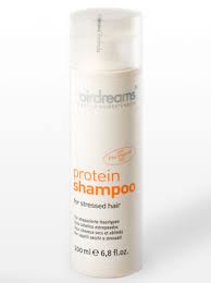 Hairdreams Protein Shampoo
