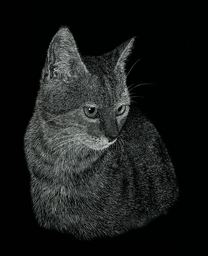 Leighton Charles Cat Portrait LCCP1