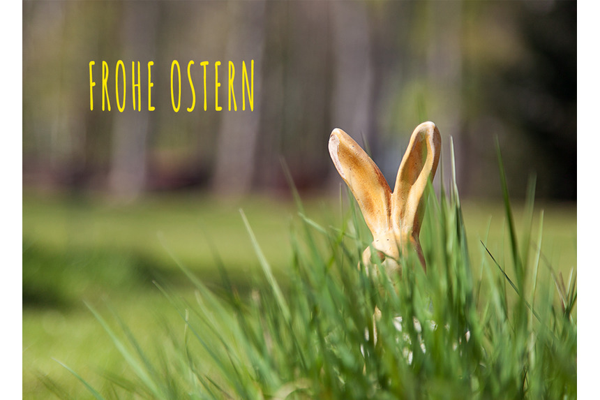 Osterhase versteckt sich im Gras bei Tageslicht