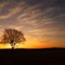 Sonnenaufgang am Bodden mit Blick auf einen Baum m