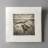 Polaroid-Emulsionslift "Vitte"