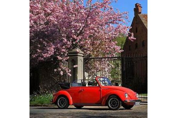 Parken mit Ausblick – In der Nähe von Schloss & Sh