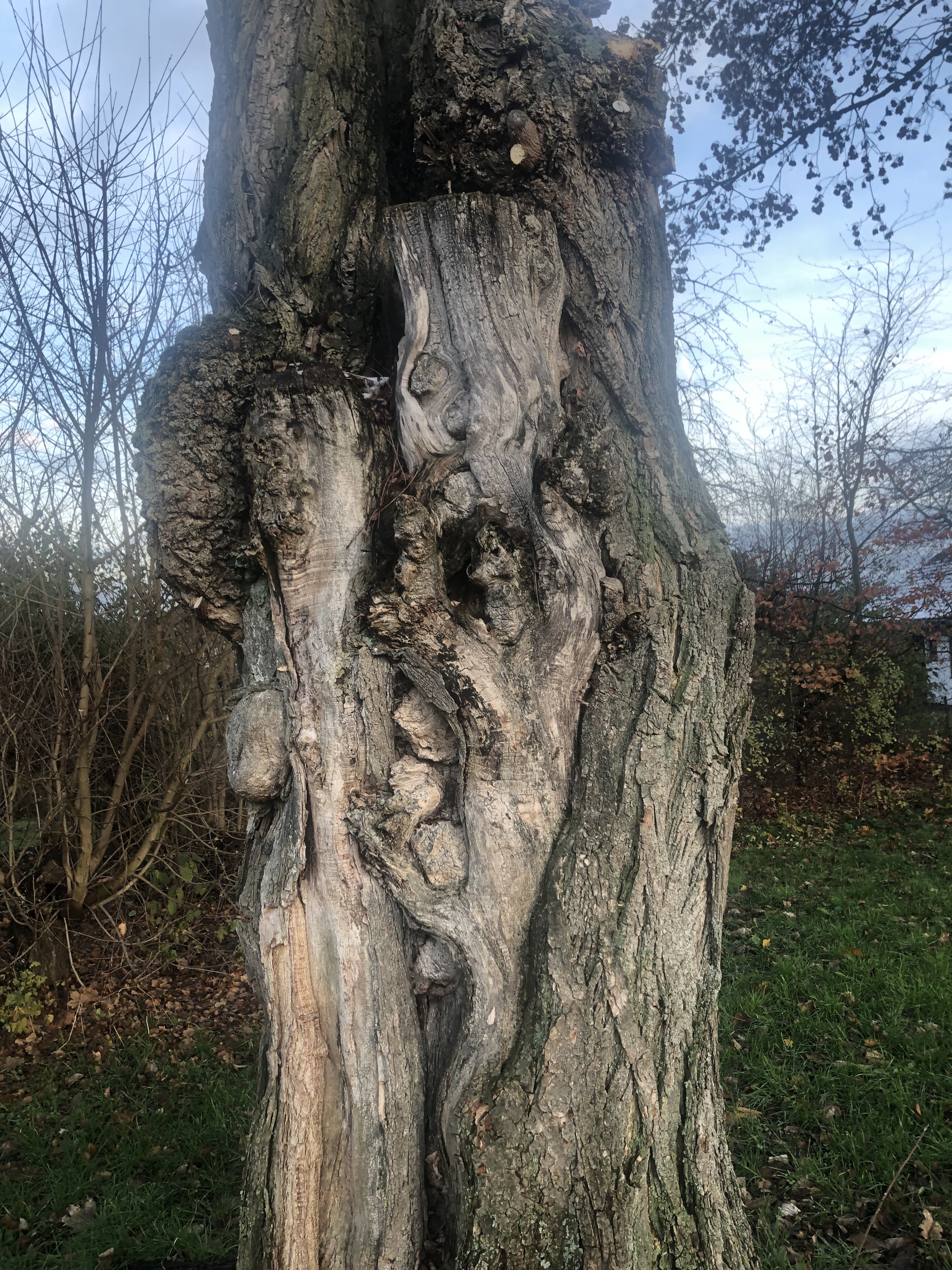 Foto: Valentina Laura König