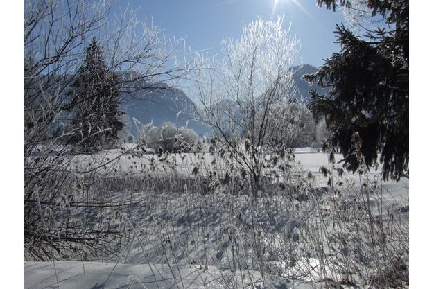 Inzeller Winter