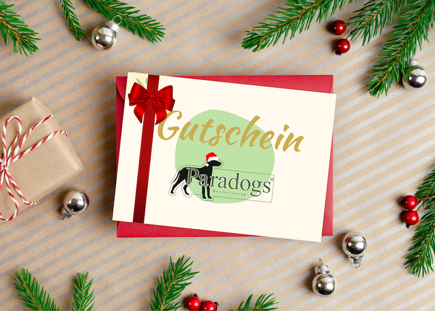Paradogs Geschenkgutschein
