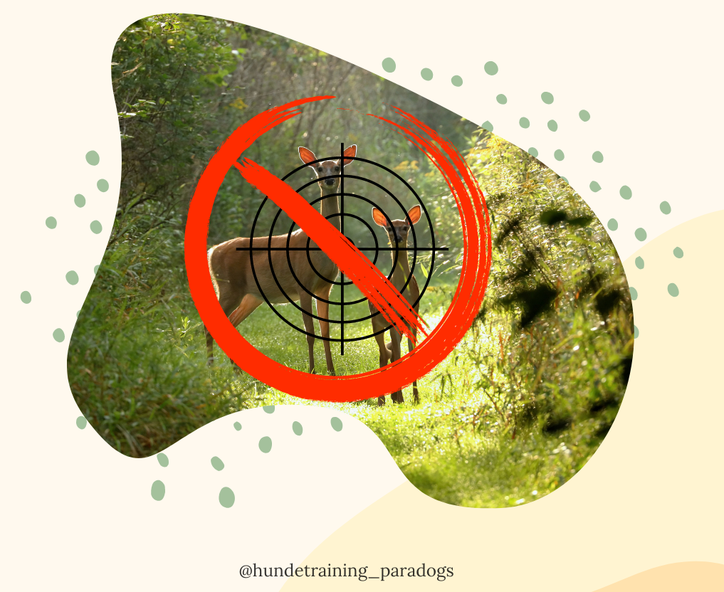 Themenkurs "Anti Jagd Training"