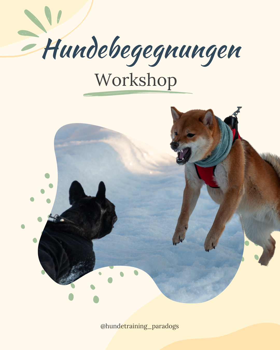 Hundebegegnungen Workshop