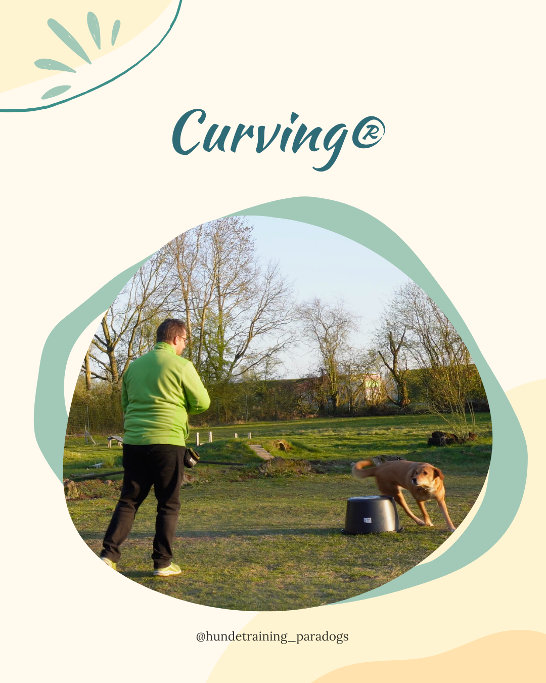 Curving® Starterkurs