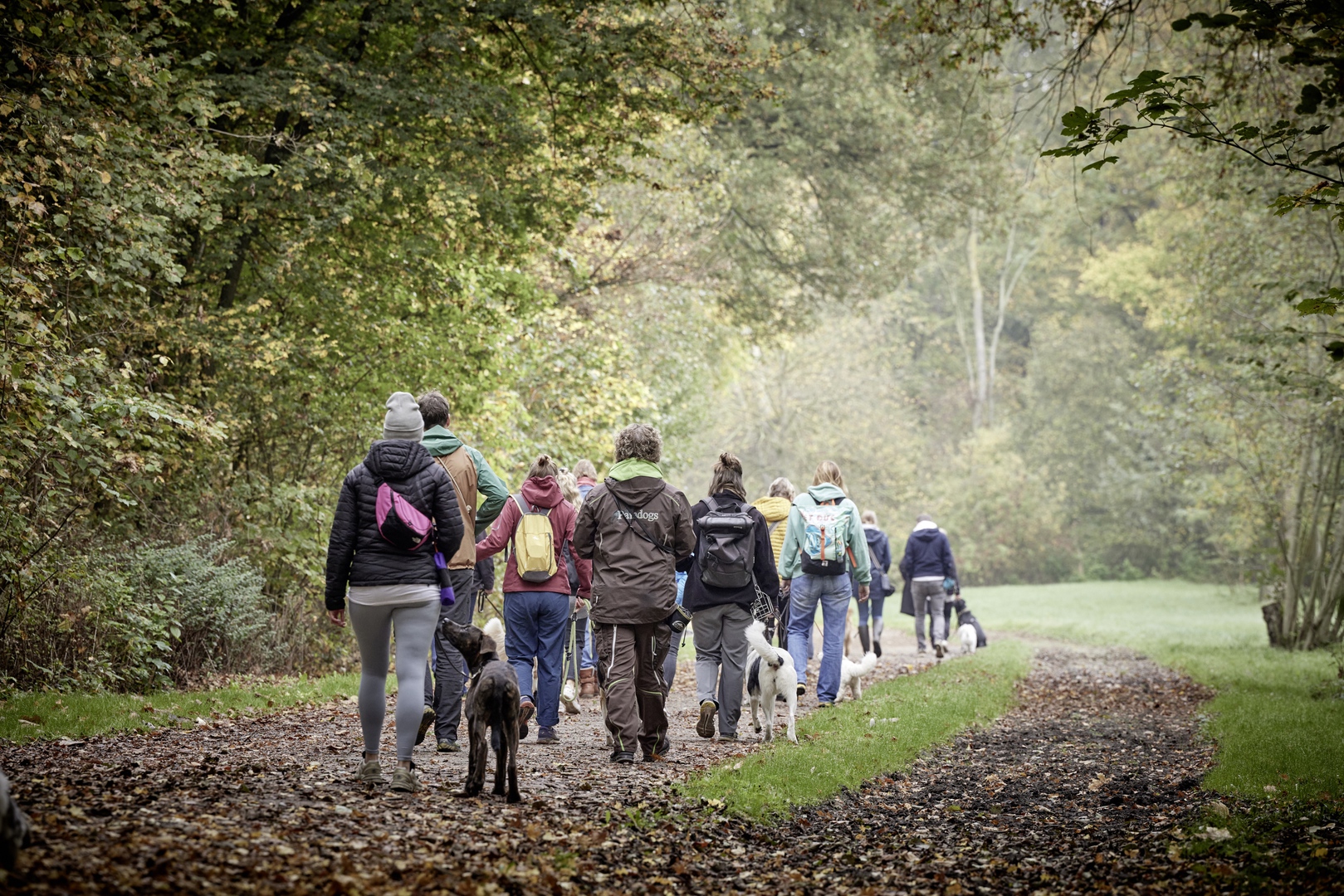 Sommerwanderung 