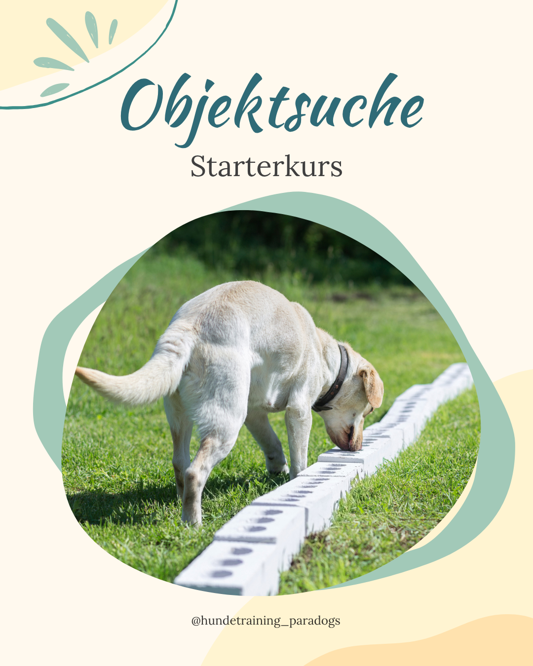 Objektsuche Starterkurs