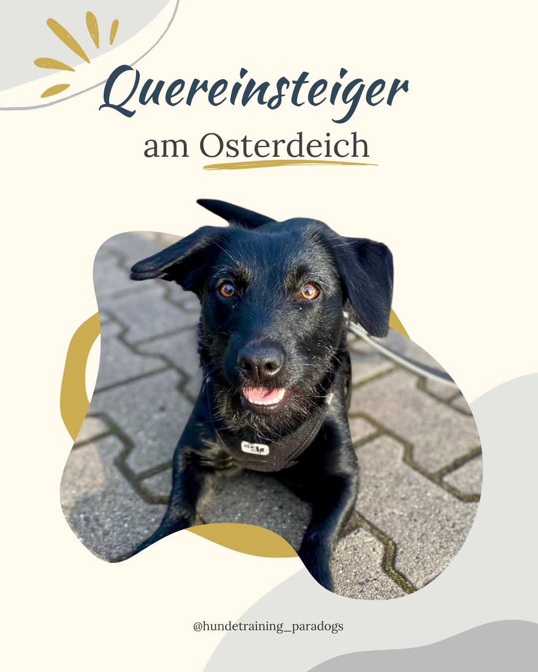 Quereinsteiger II - AUFBAU