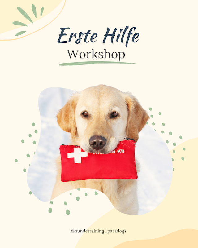 Erste Hilfe am Hund - Intensivworkshop