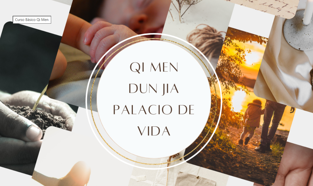 Curso Básico Qi Men OFERTA