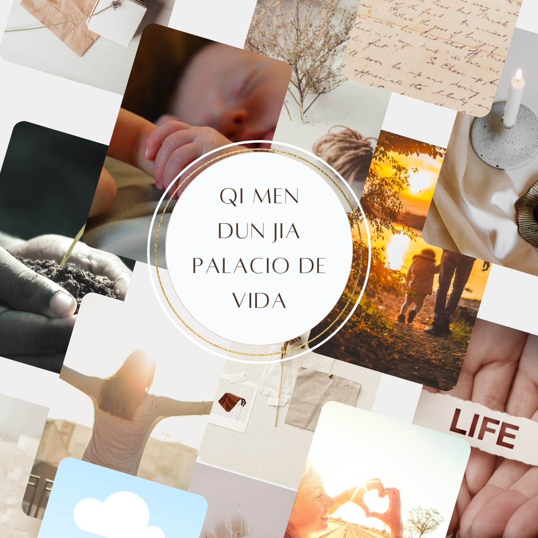 Curso Básico Qi Men 