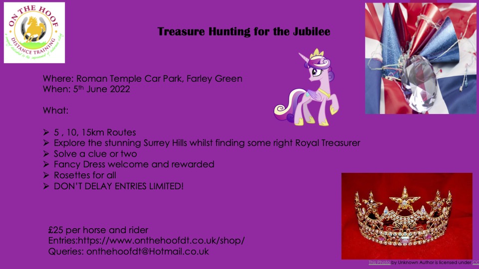 Jubilee Treasure Hunt