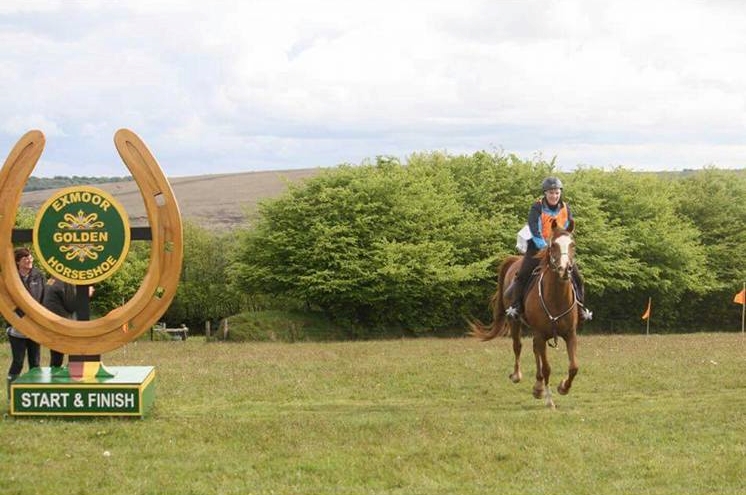 Golden Horseshoe Training Hub