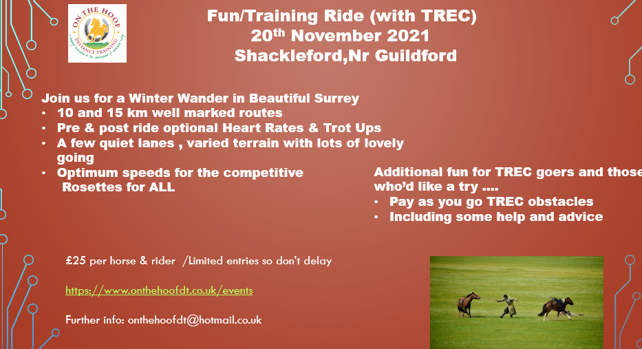 November Training/TREC ride