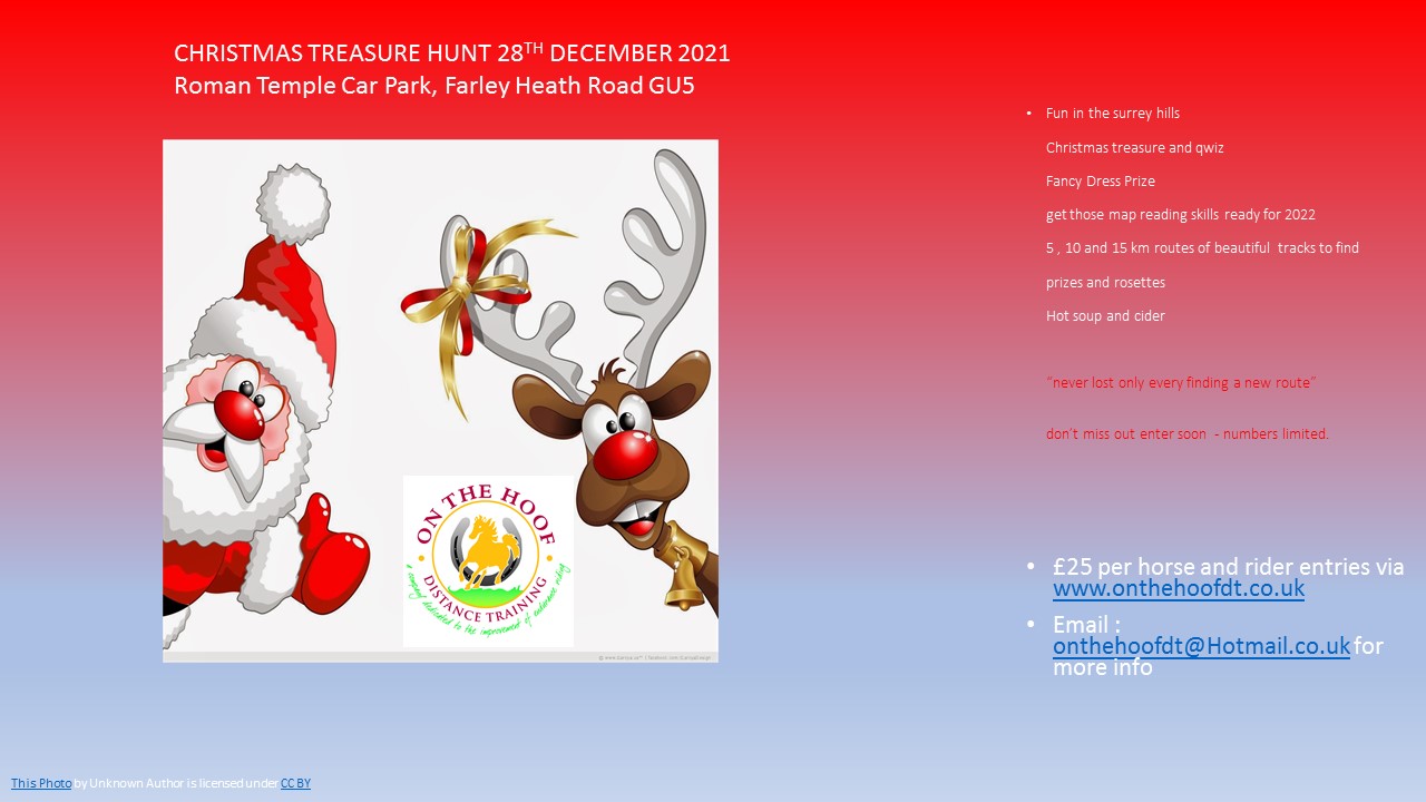 Christmas Treasure Hunt