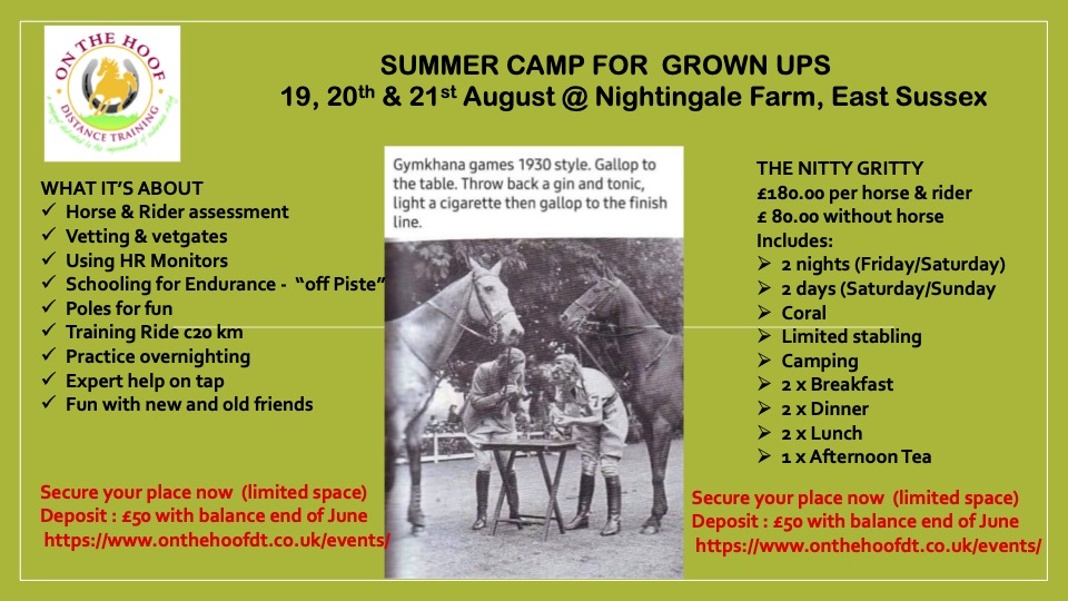 Summer Camp 19-21 August  2022